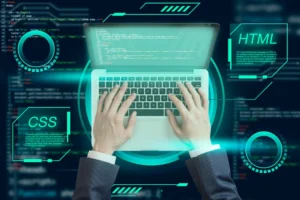 Custom Software Development