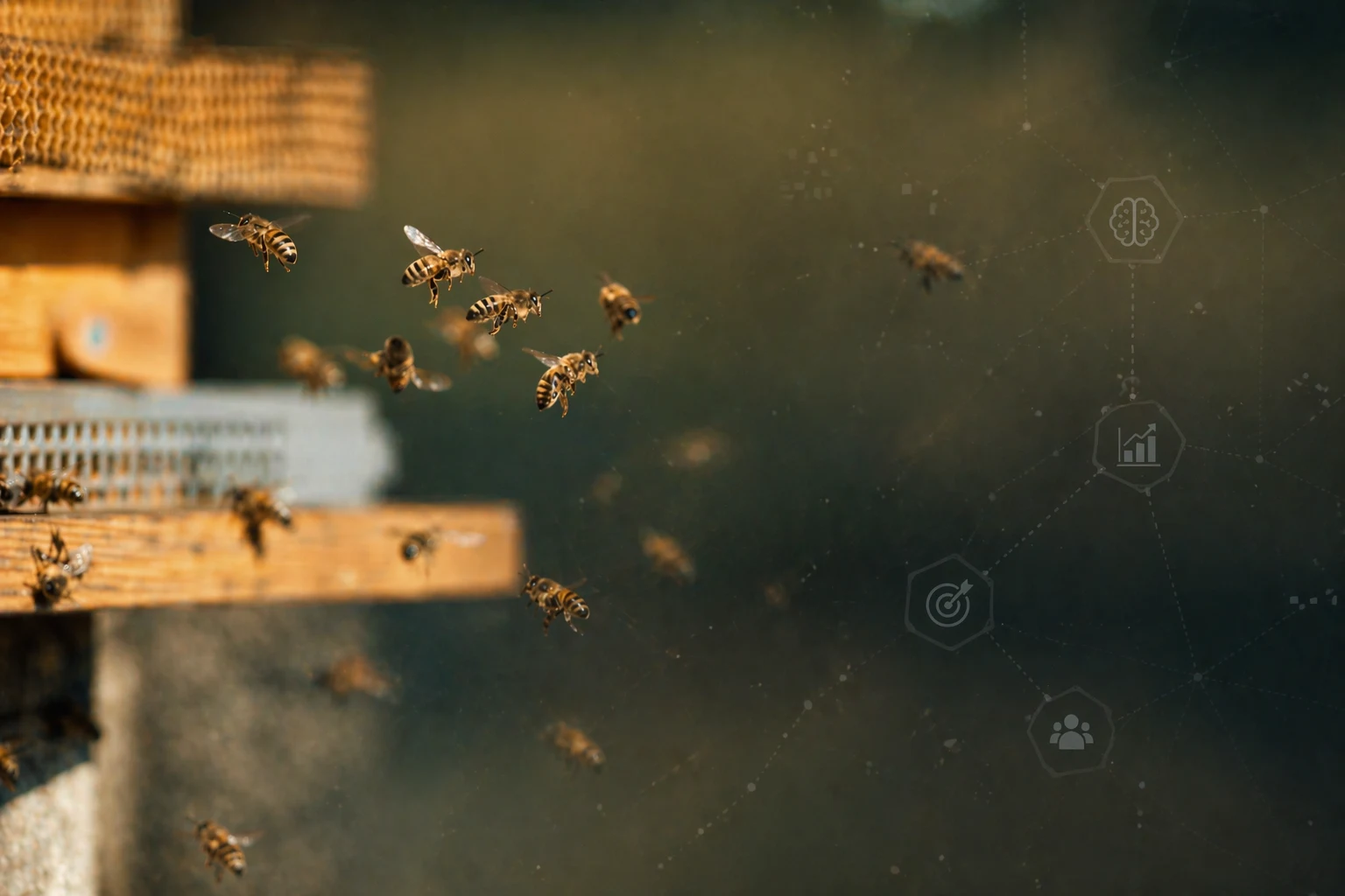 Agency Infrastructure